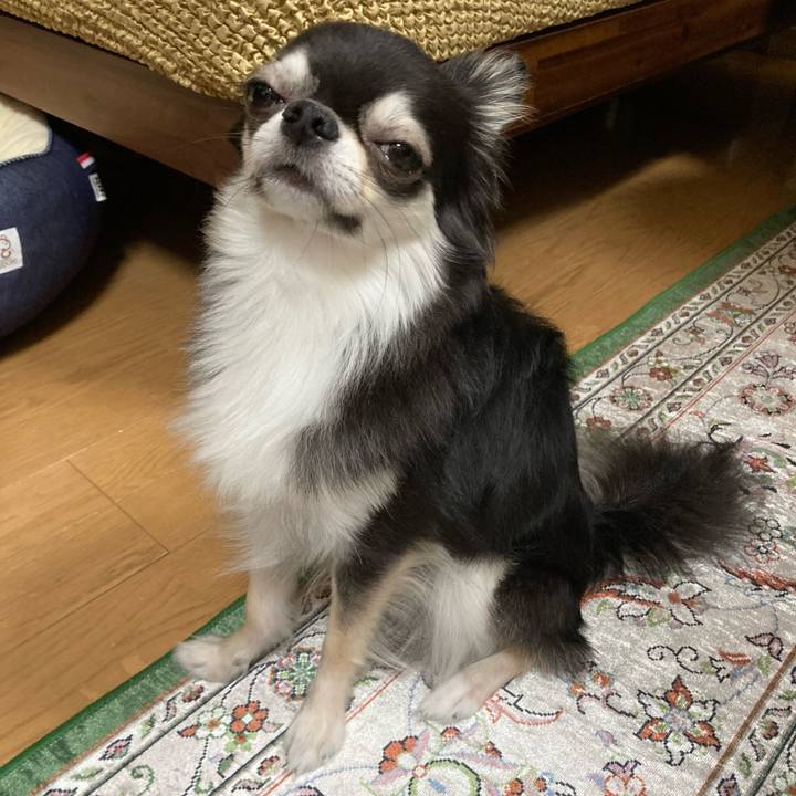 Aefd14e7 90cc 41e2 9ddb 7ddc121354d9 1658149210834