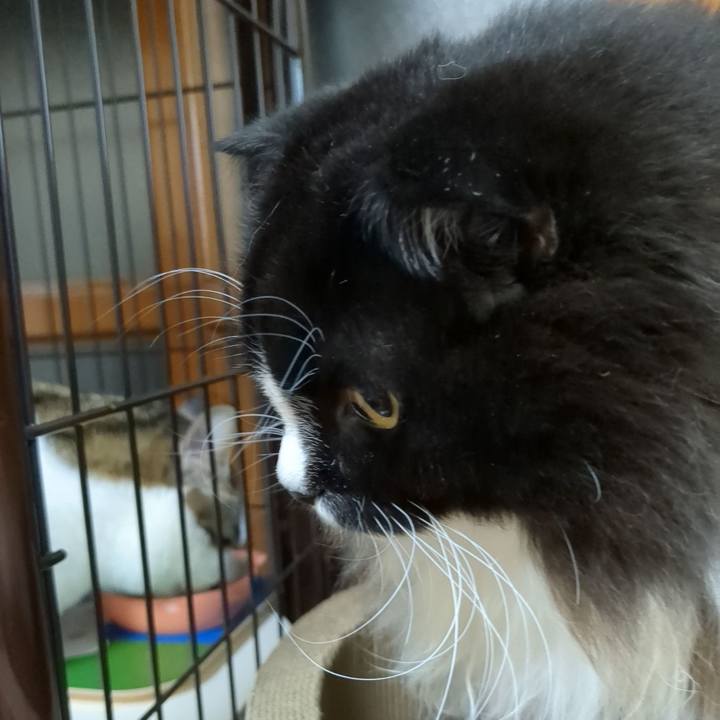 Aefd1783 b7b8 46bb 85e3 000e743259e2 1666178994265