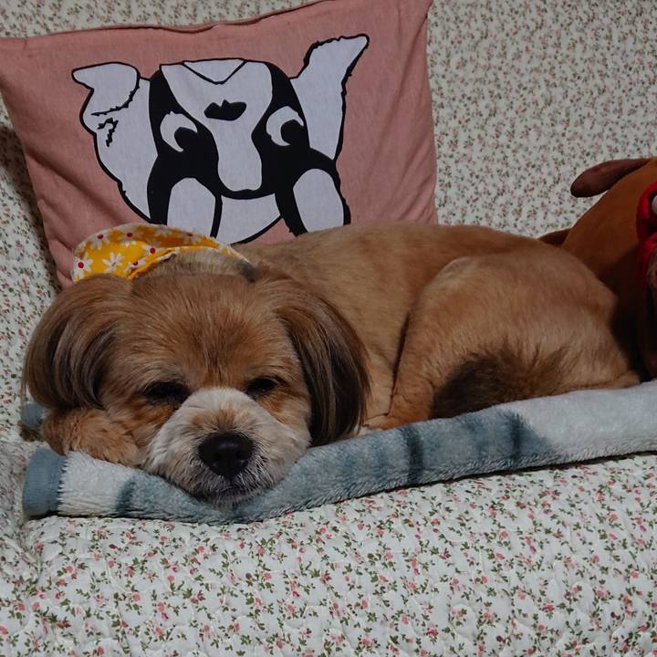 Aefd2988 5532 4e03 aac6 9eabb3625099 1586862119317