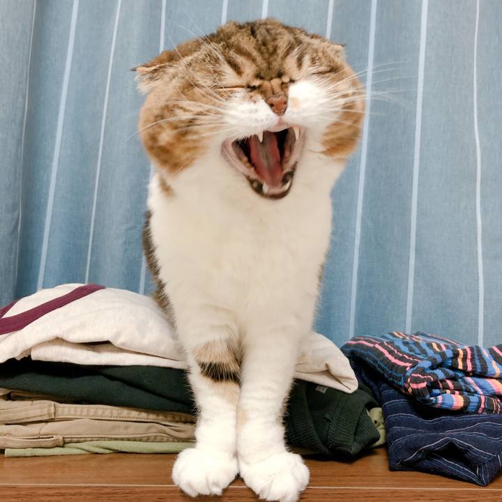 Aefd49ff 51e4 49cd bb7d 5cc8e3961463 1574321913326