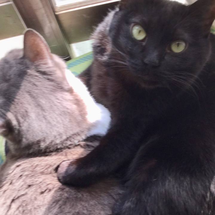 Aefd503c 2cdd 4336 b565 c424e394d98a 1587127052677