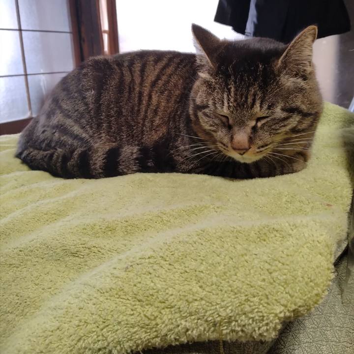 Aefd79ca c277 4212 aa0f 08e2774a9b0d 1679957248786