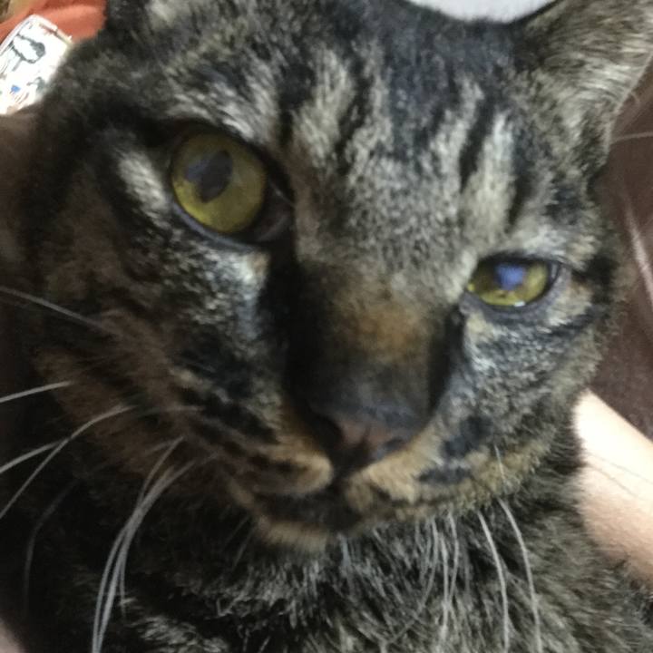 Aefd7dfc d795 4e99 bd42 42e22f637fee 1602503759062