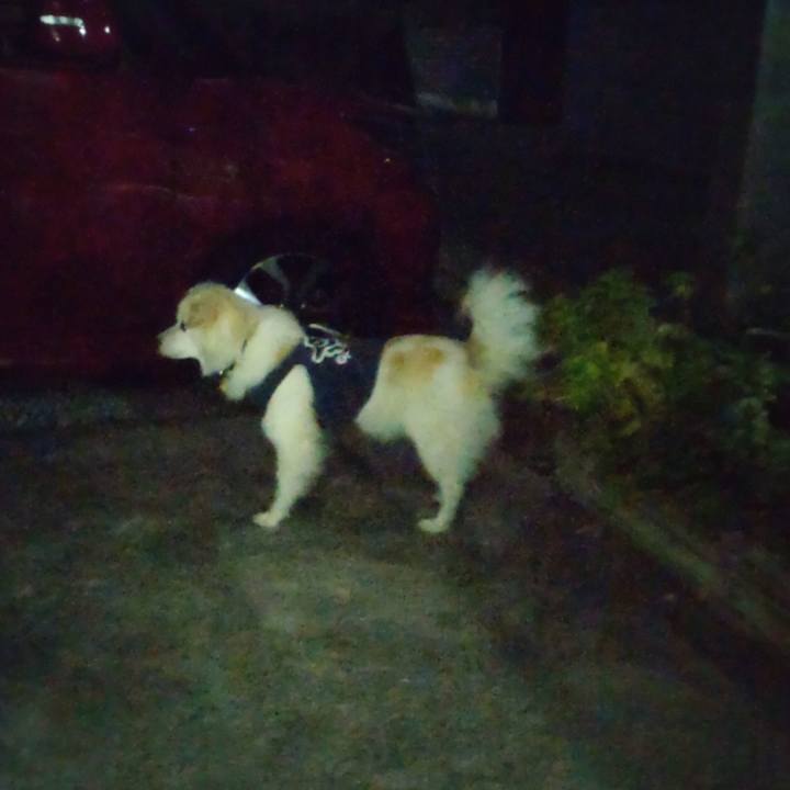 Aefd84a2 9960 4c56 a2ec 762fbe4244b8 1645115328790