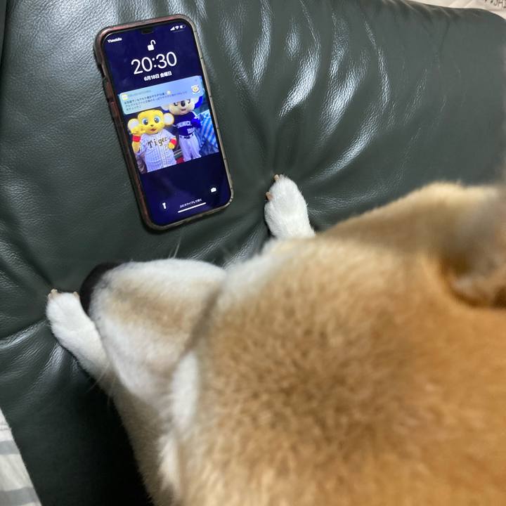 Aefdbab3 5c0e 434a 87ad 83b3596ea847 1624020307300