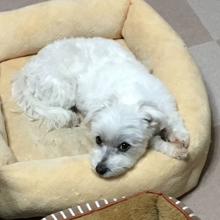 Aefdbe23 1631 446a 86b1 58ec433249b7 1549023489245