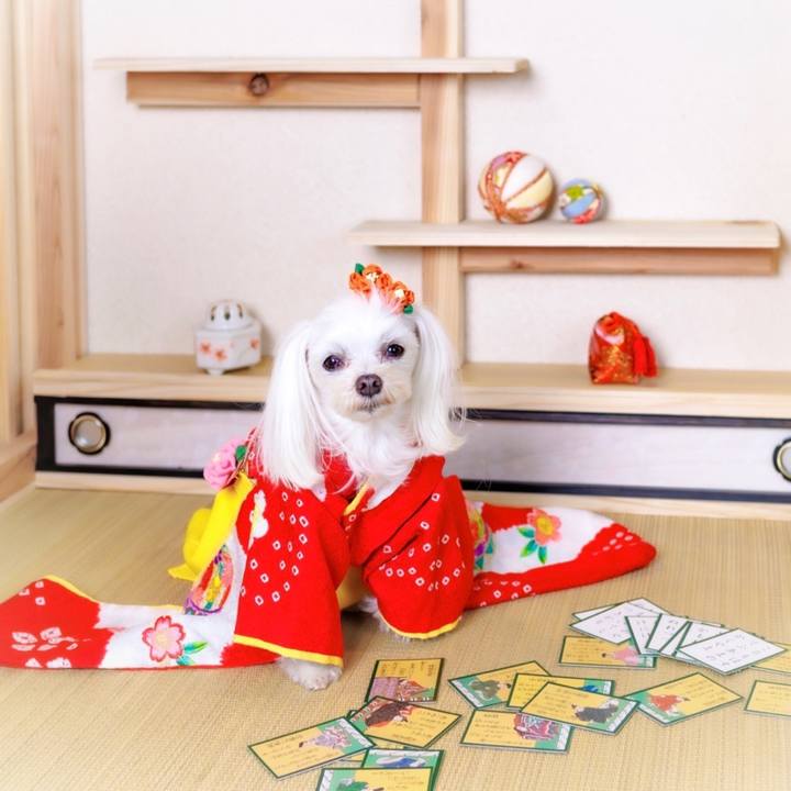 Aefdbf4c 040f 48c5 9fd3 9e877530fba3 1704069933882