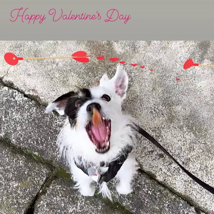 Aefde44b 9c31 47b6 b856 d7435518303b 1676338859073