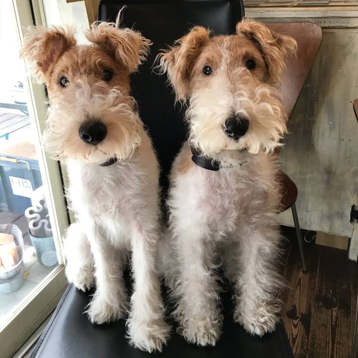 Aefdfb4f d6fd 415b 8e10 742d2bd96ddc 1510846042205