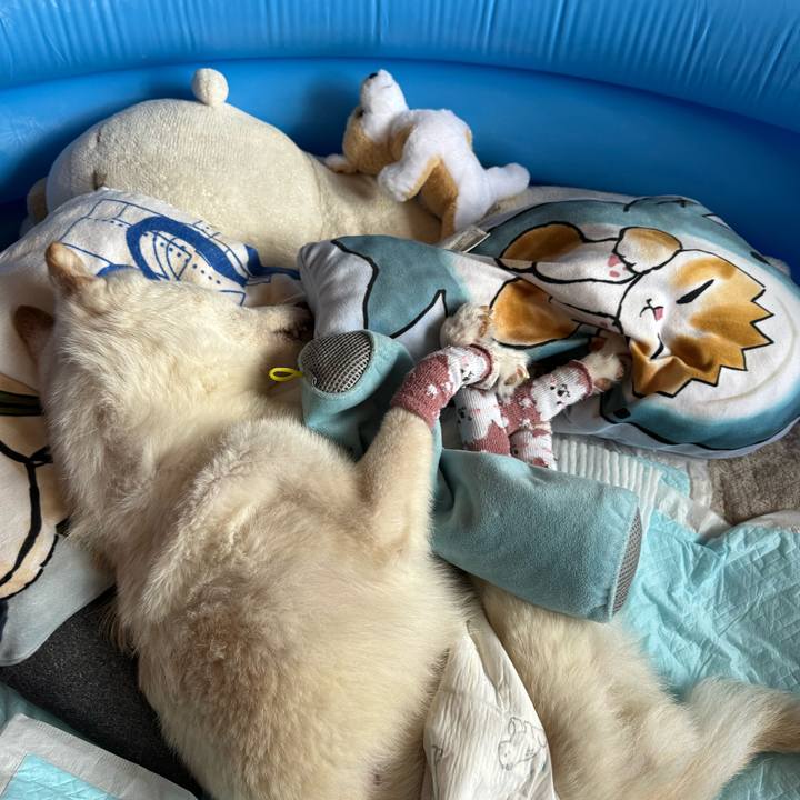 Aefe0823 43a7 4a88 bf41 f18ebca3b5f7 1703911428078