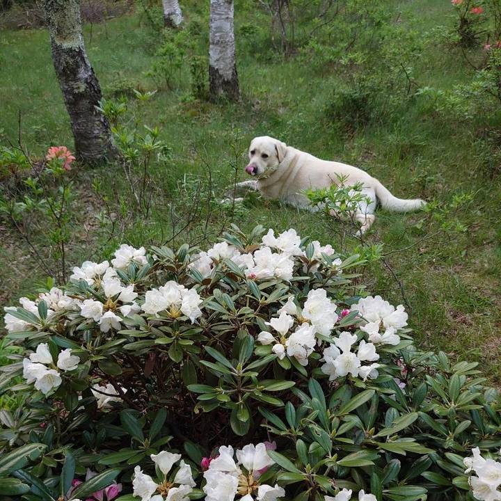 Aefe1d50 f887 43b2 a1fd 205d57b92f8d 1623371698719