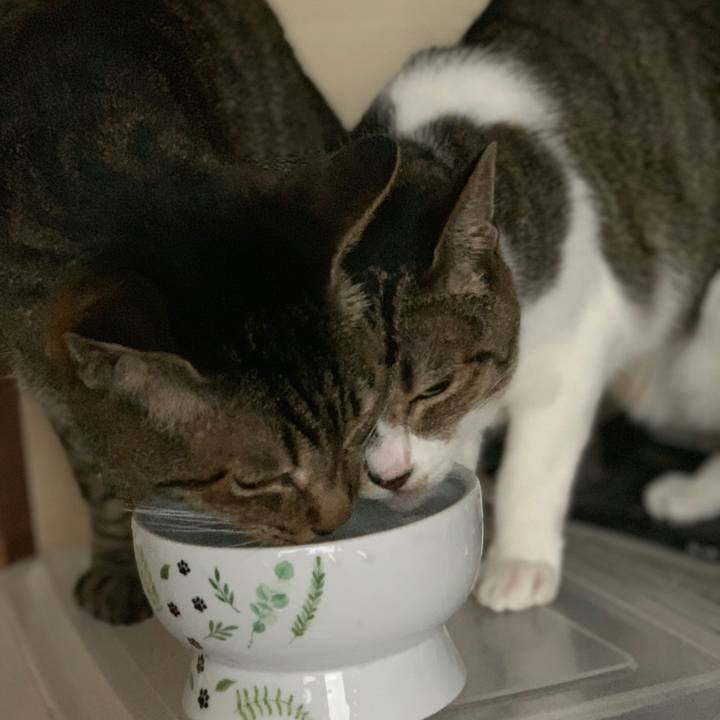 Aefe24fc 77fd 4097 a85d 328ec7e22604 1562028664302