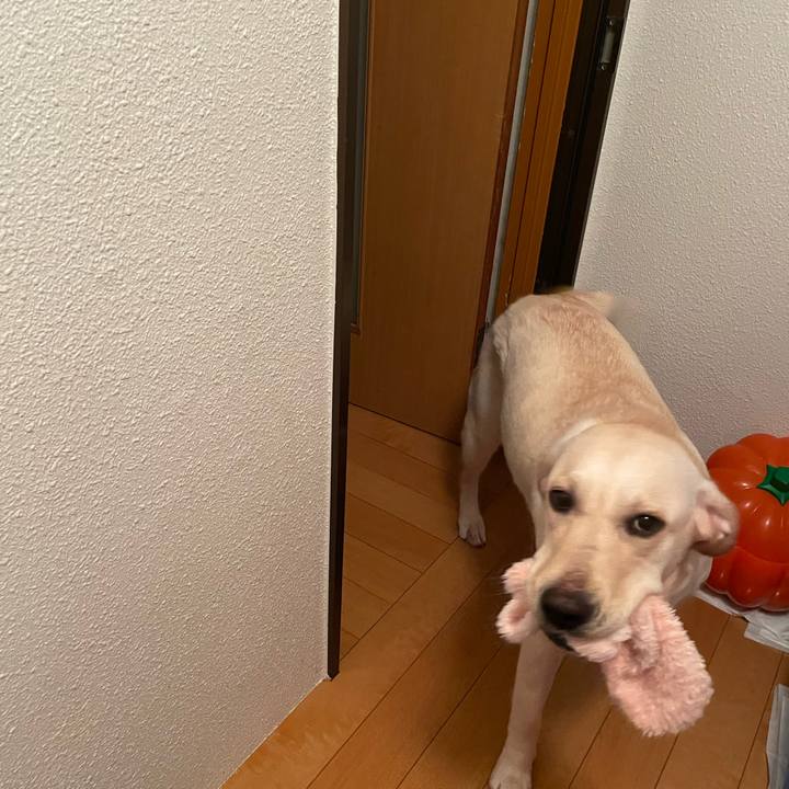 Aefe3985 d1db 4ad9 87a0 0a01100f7702 1640642320817