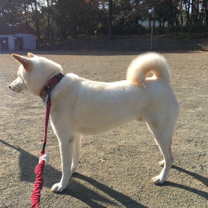 Aefe65bb a680 48e9 8fdd 22331ee8e79d 1541669738181