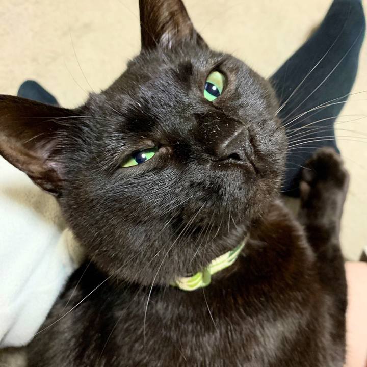 Aefe7974 7a3c 48ef aee2 74a075b4f085 1554388942097