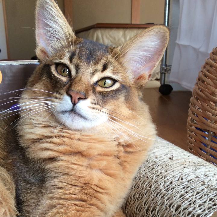 Aefe98ba 3992 4b9d 9951 ede5b578ba1d 1581902804579