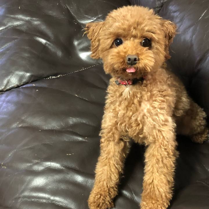 Aefea614 dd32 457b 990f 1579b70058ab 1566612095520