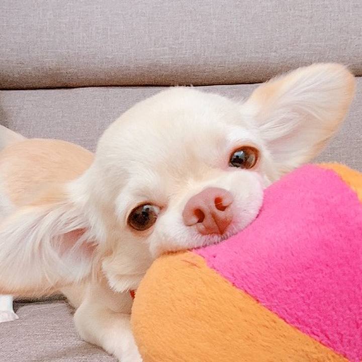 Aefee769 24fe 4f21 8b76 27a26c77670c 1628683729843