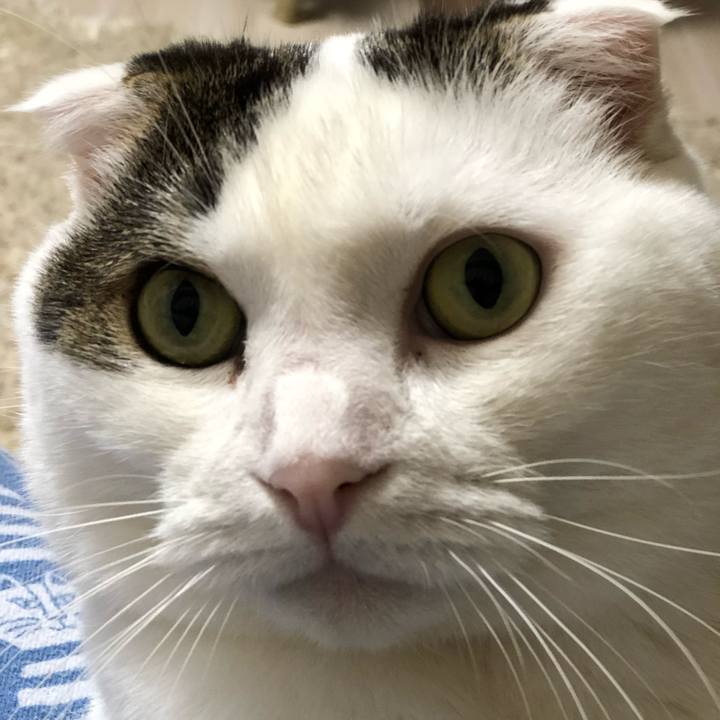 Aefee88c a4af 4168 b0aa 3c762163f2e2 1539688783322