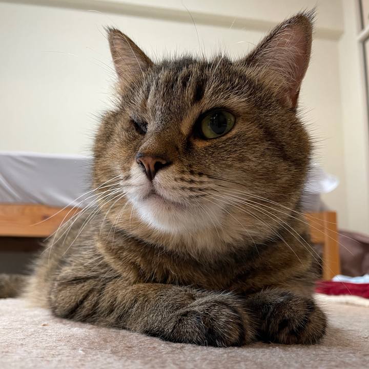 Aeff08d5 bd94 4792 b3d6 7f238a827c5e 1629068096391