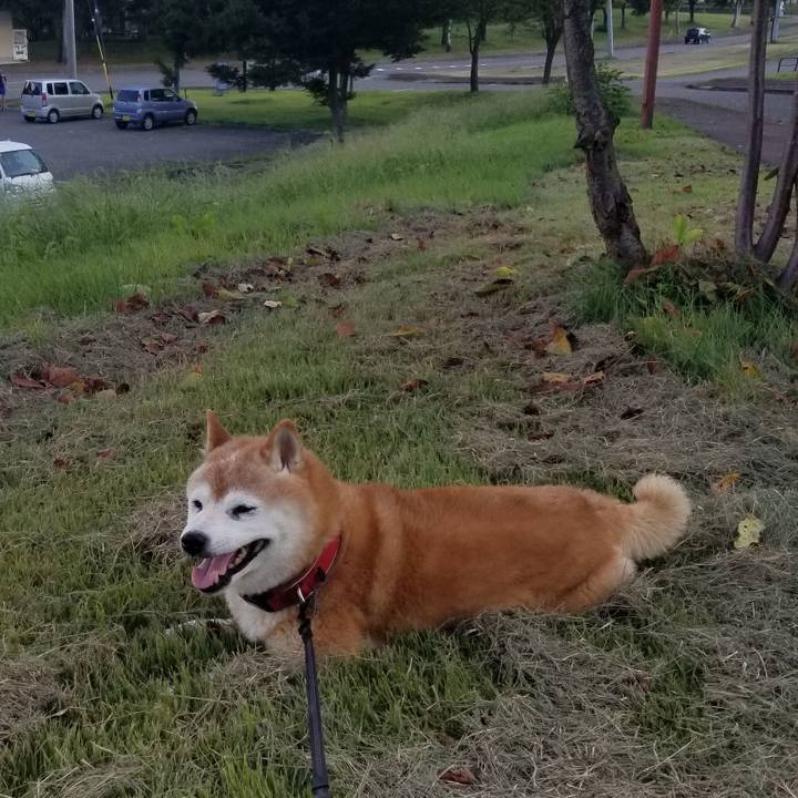 Aeff14a8 a0aa 4fed b397 ca1b565ef9a1 1725954560541