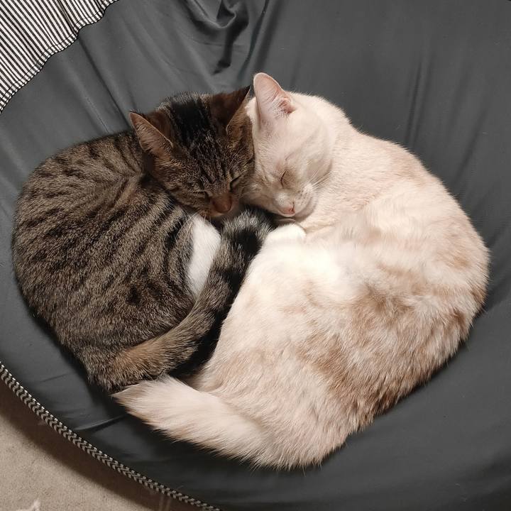 Aeff2a39 8e92 413e bf67 4b42b75e3432 1680430191405