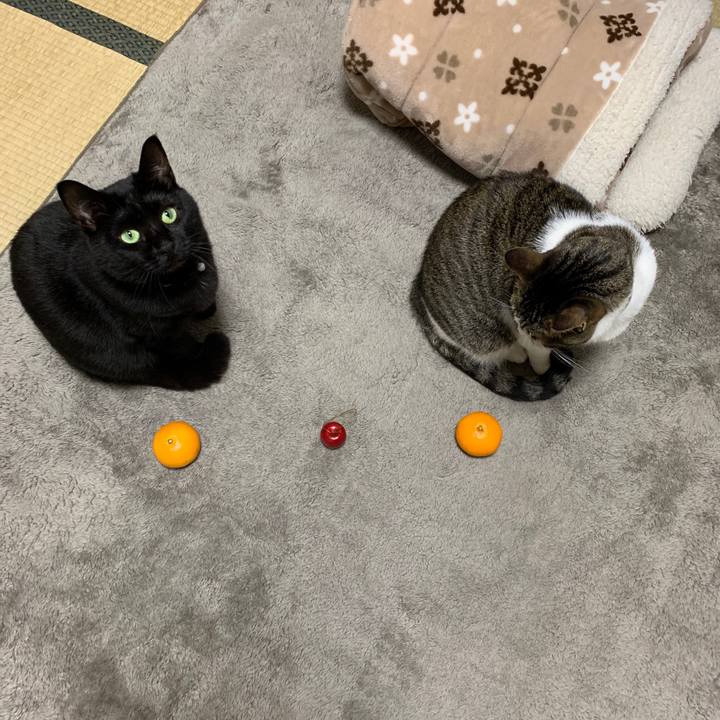 Aeff3758 61ab 4ae0 bda3 6b567295242c 1544795020352