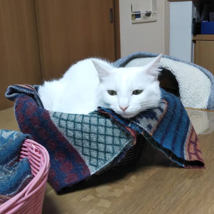 Aeff3887 e226 477d aba0 74419a603759 1645435485567