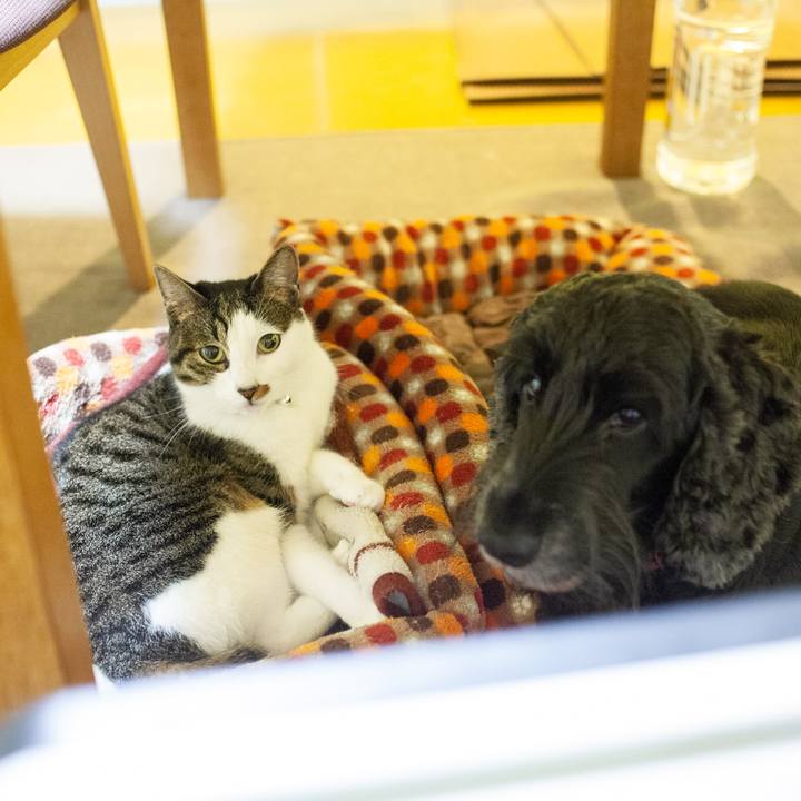 Aeff757e 96cb 4182 806c 5298be91bc93 1573315585746