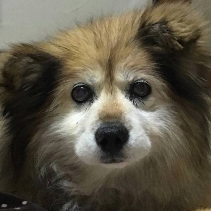 Aeff79fa ad74 49d2 ab90 98f67510dc5f 1646800465468