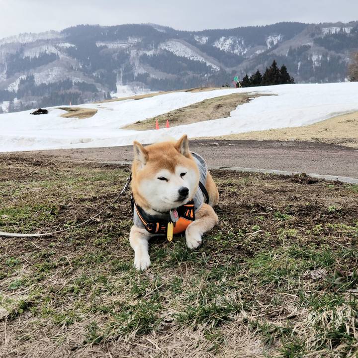 Aeff9da7 2b1a 48a7 afab 27097169f7bf 1615955345284