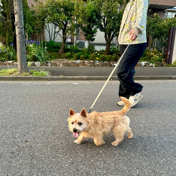 Aeffb131 939e 4280 93d6 ec5ad7e6efba 1713024092177