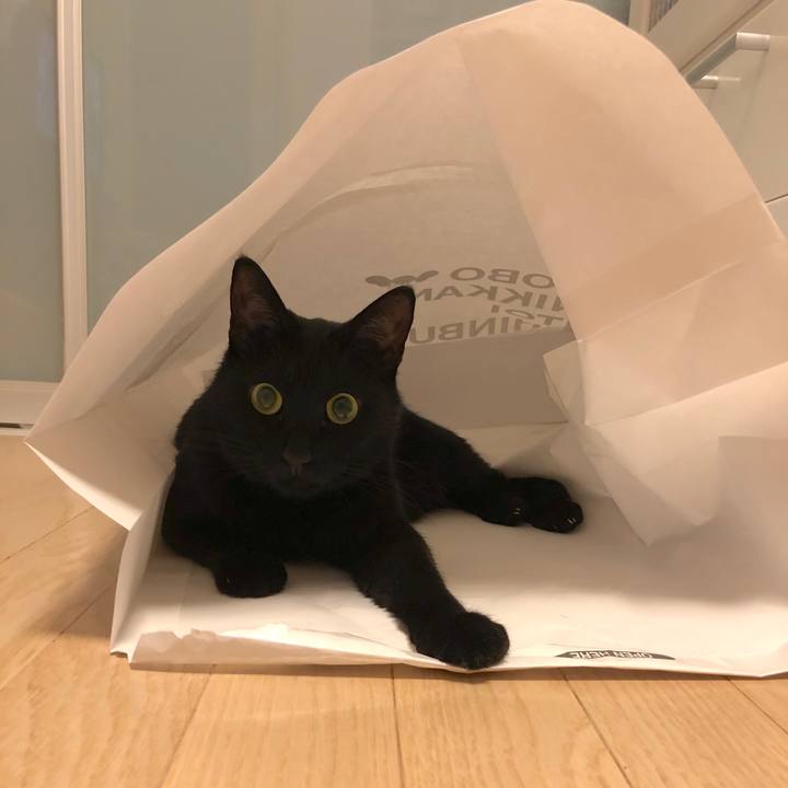 Af00c7e8 b16d 461c b626 c717acad4ae3 1545045182022