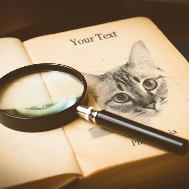 Af00cc82 07f2 4bed bb25 bfd62dafc023 1508068656545