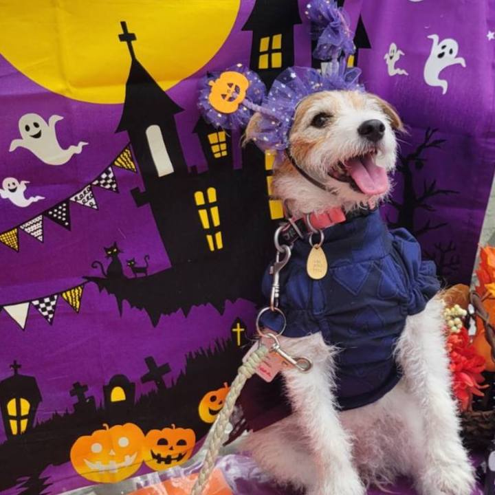 Af00f446 9f34 468d 9b0f eff667f5e360 1758598194235