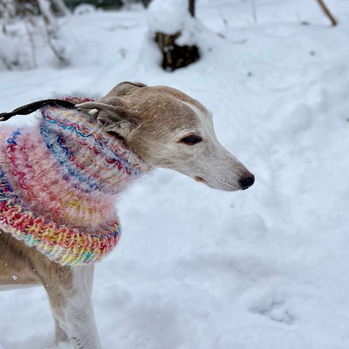 Af00ffe2 0b1e 44dd be62 8ee150c9cc0a 1764923176015