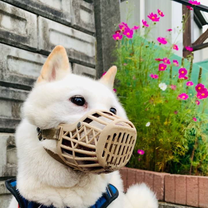 Af01060f db1e 49d6 a073 deb9a58a731f 1631049322974