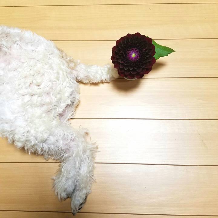 Af010a6e dd7b 45d9 a936 81bd8f76e7c5 1538138800136