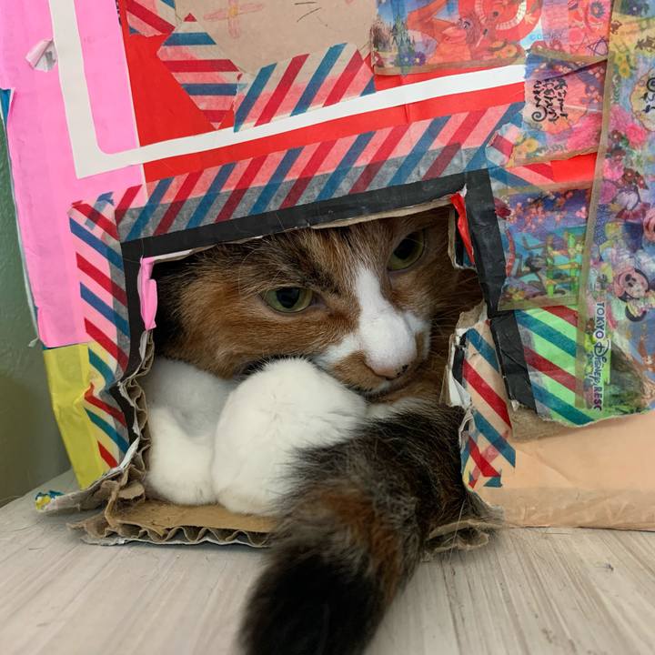 Af0119dc 2059 4d15 a1ab 9cf8d34e8d46 1638960413532