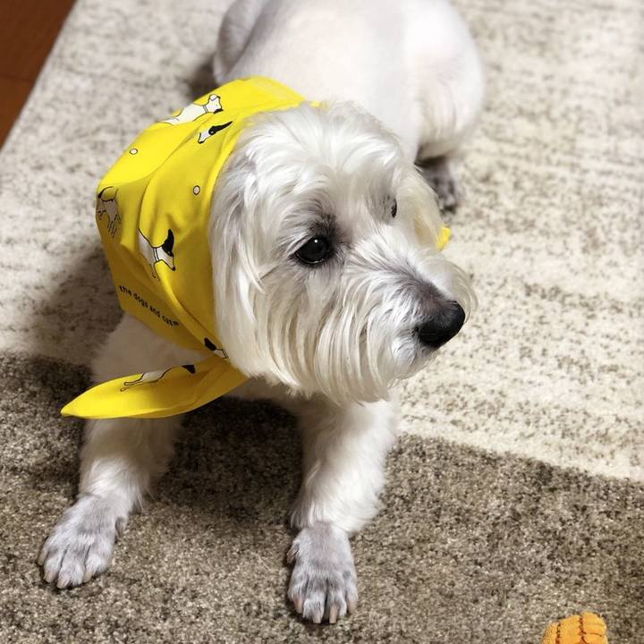 Af012f3e a62b 426d a33b 361078e4480b 1528122056357