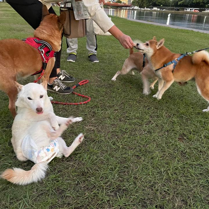 Af01584f eb65 4ad9 9183 b8af1ebc5d78 1665572126479