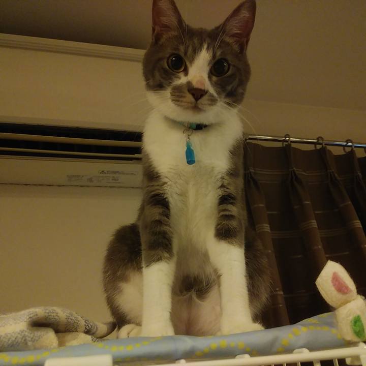 Af01663b 0792 4908 81db 02e60514f729 1591797914967