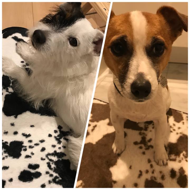 Af0189ce d22f 4d3e beac 73d1f3edf6a7 1513423142114