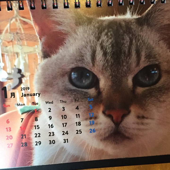 Af018c3a 904b 406e a208 56104e901d1f 1546318971522