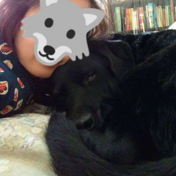 Af0198d1 7316 4b84 8beb 2eeff594f771 1737362808693