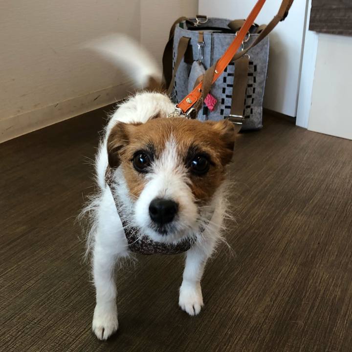 Af01c28d e115 410b 90af 6bb9b2437f64 1517538033545