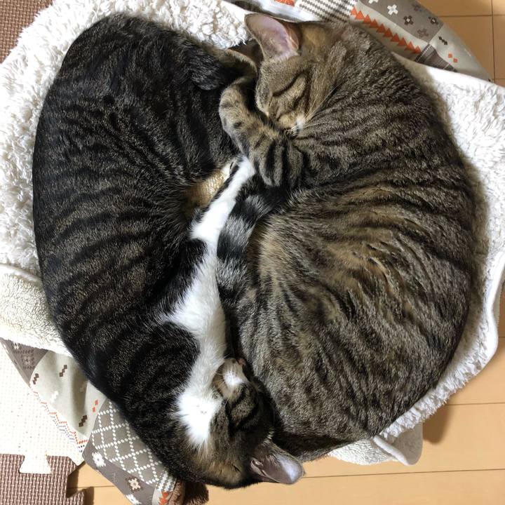 Af027093 287c 4a92 9bf0 307c1b991c57 1514478335048