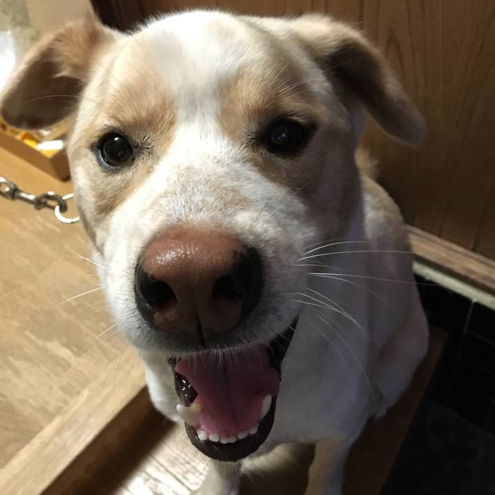 Af02764c 8215 4b99 b2fe 3f00c9d0c9fa 1526904000989