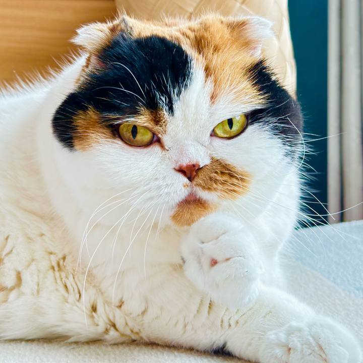 Af02787b 2046 4355 afc1 d54128a546f2 1710974830423