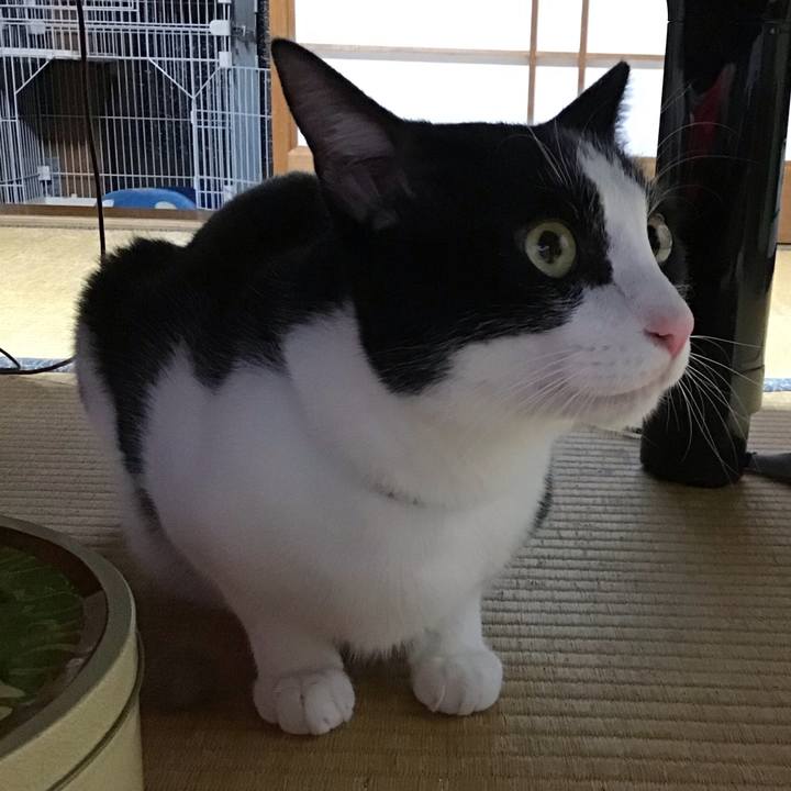 Af027982 958c 4473 875b b5b2fb36ce37 1689508852479